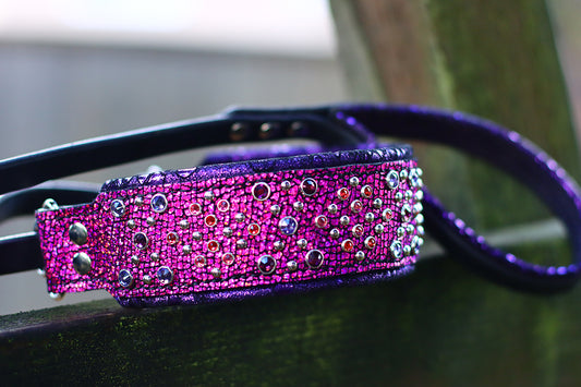 All in One Leash