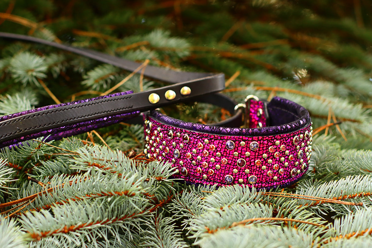 All in One Leash