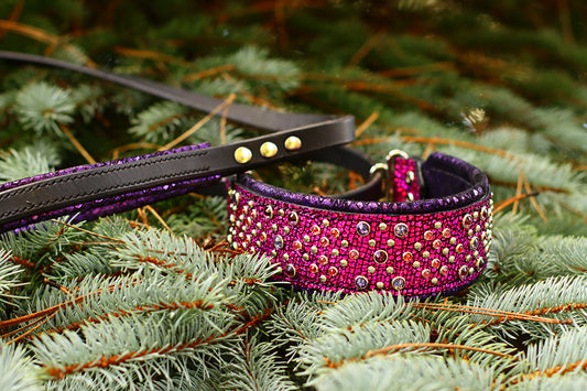 All in One Leash