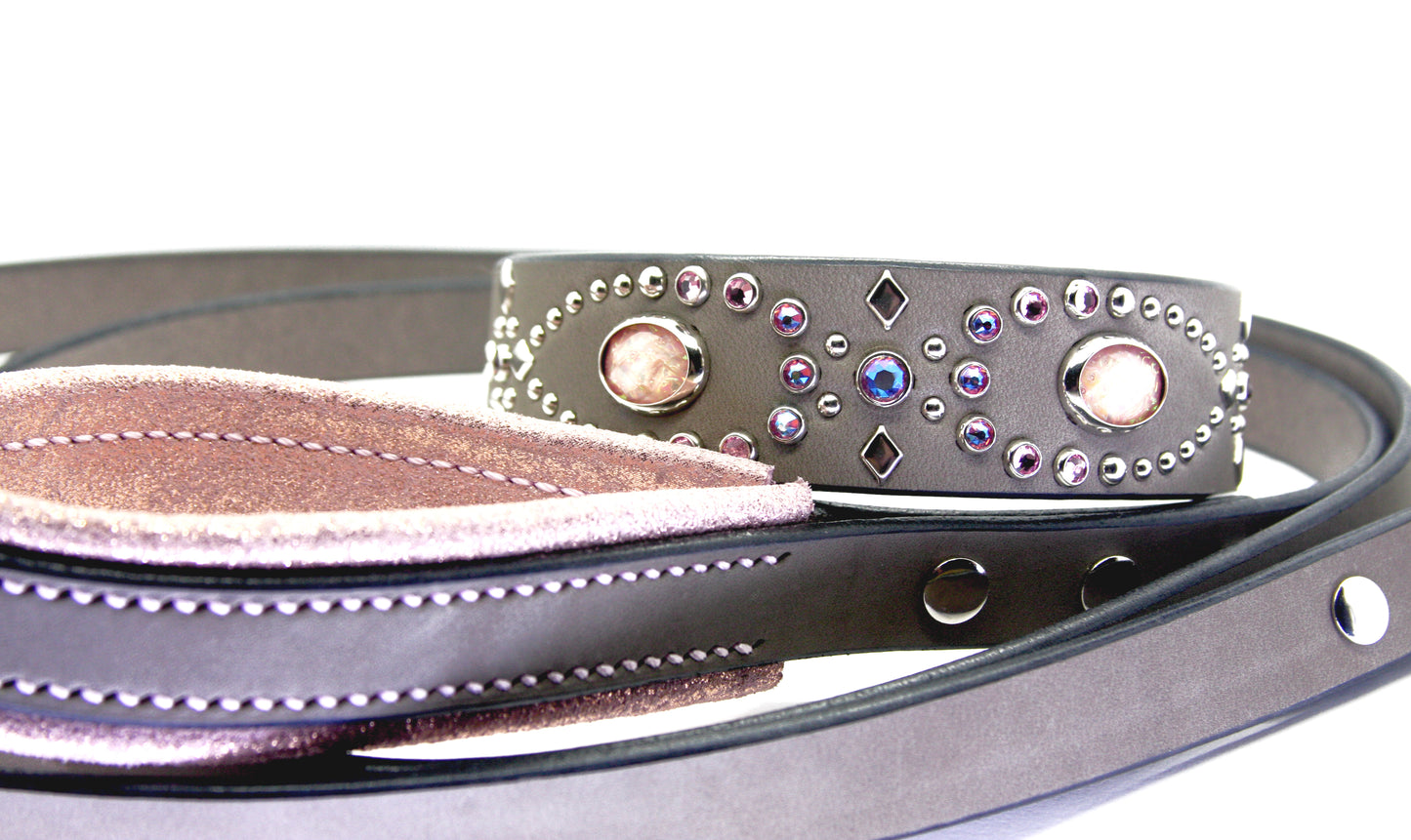 Matching Leash With Padded Handle
