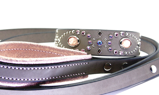 Matching Leash With Padded Handle