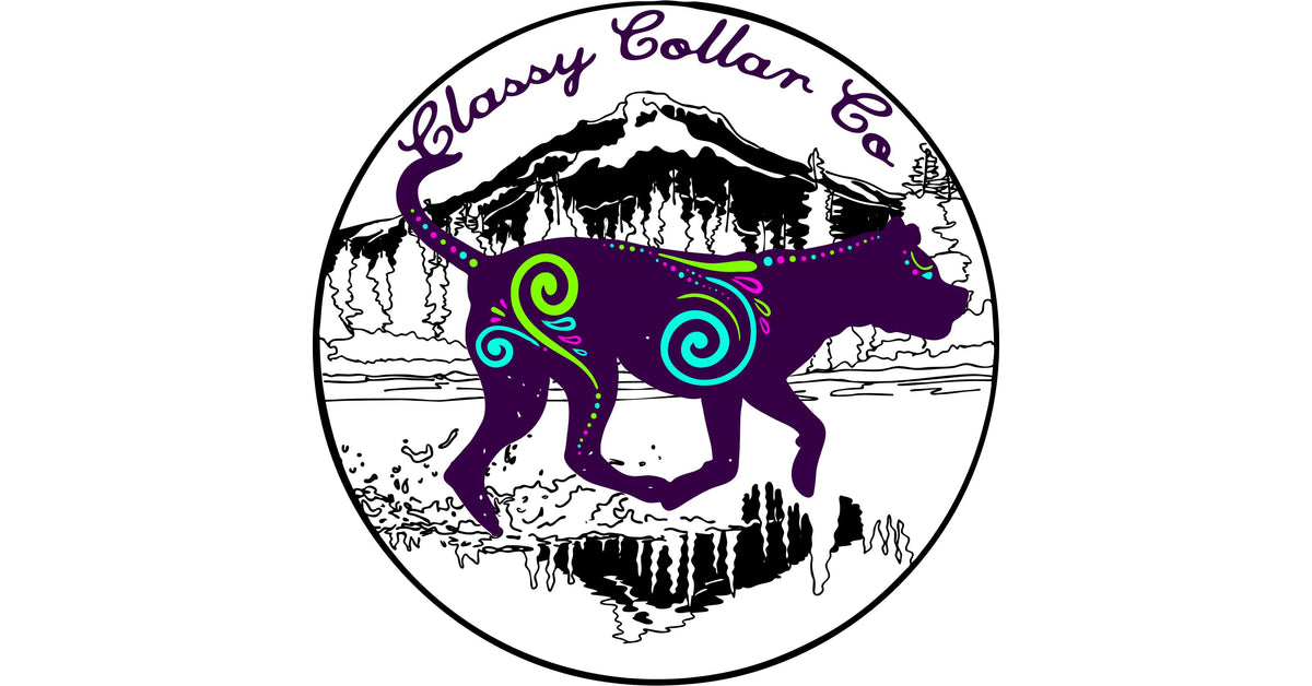 Custom Dog Collars Classy Collar Co