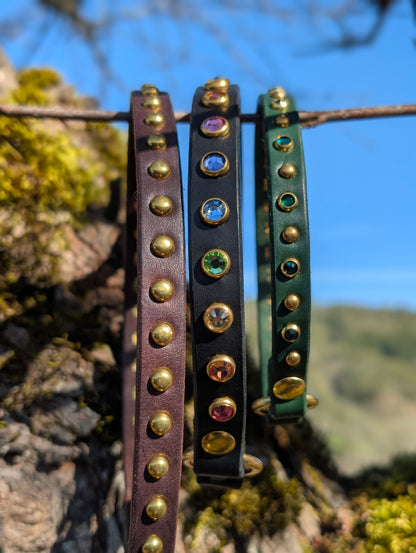 Tag Collars